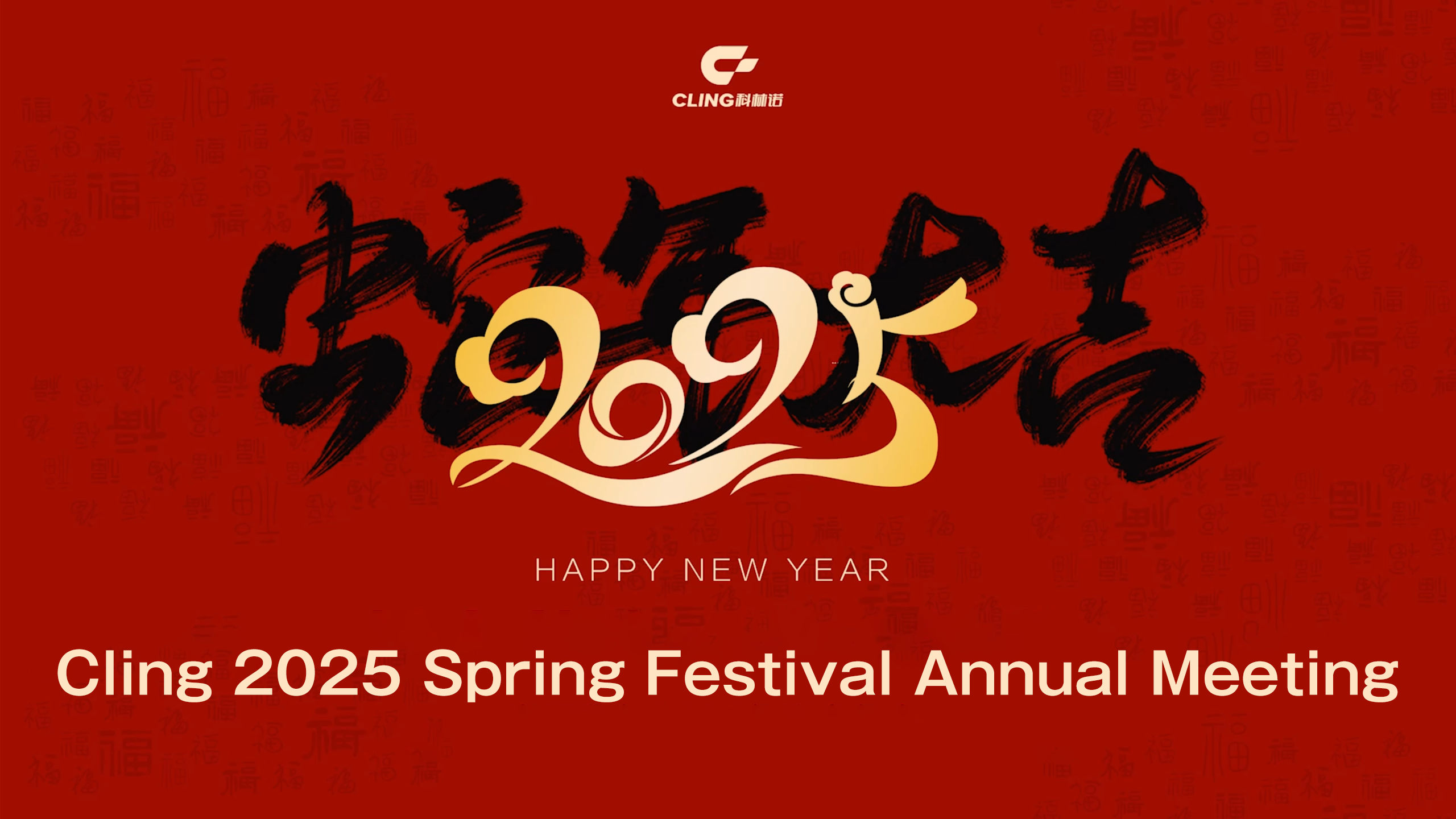 Molead Cling 2025 Spring Festival Annual Meeting Concluded Successfully