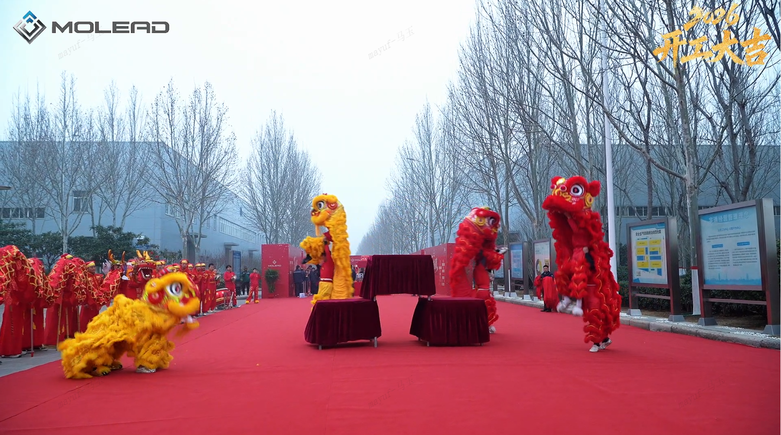 Molead Kick of  the Work for the Year of the Horse 2026 