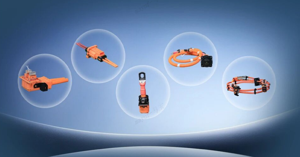 Molead Electronics Business Unit Introduction